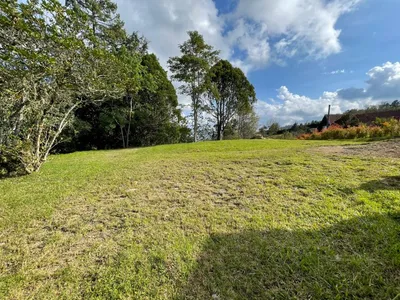 Lote y casalote en venta