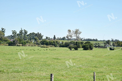 Imagen 17 de 19 de Chacra San Carlos Ruta 9 - San Carlos San Carlos