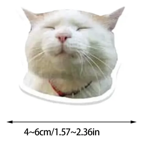 100 Pegatinas Divertidas De Gatos Memes | Calcomanías Impermeables Para Botella, Portátil, Skate, Regalo Para Adolescentes Y Amantes De Gatos
