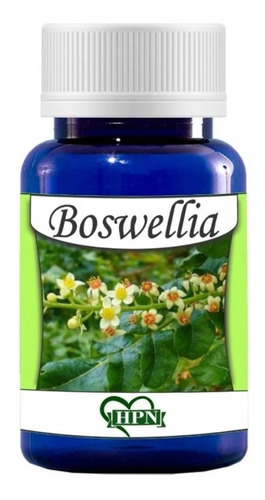 Boswellia Serrata (olíbano) 60 Cápsulas 500mg Hpn