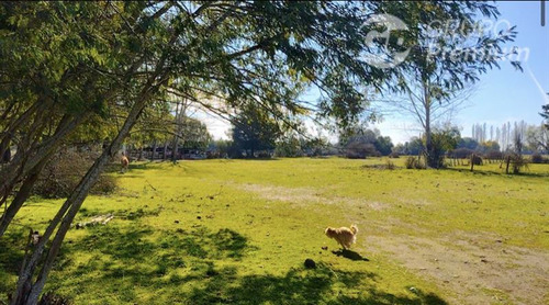 Parcelas Disponibles, Terrenos En Venta Cercanos A Chillán