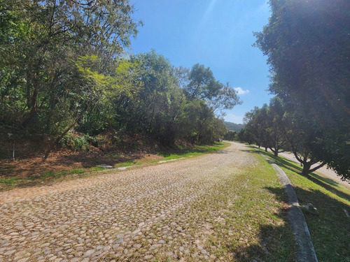 Venta De Lote San Diego 8 Sobre Boulevard Muy Cerca De Las Amenidades Y Del Hotel Del Fracc Rancho San Diego Ixtapan De La Sal Edomex. Se Incluye Proyecto