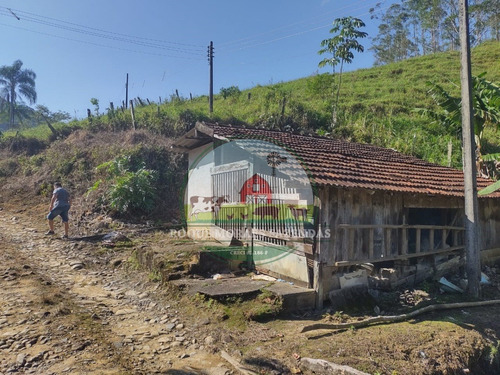 Imagem 12 de 28 de Fazenda À Venda No Vale Do Ribeira Sp Medindo 87,5 Alqueires Paulista Ref0978