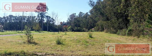 Lotes De 850 M2 - Barrio Semicerrdo La Flor