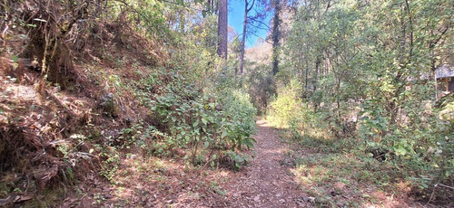 Gran Oportunidad! Terreno De 40 Hectáreas Sobre Carretera A Los Saucos