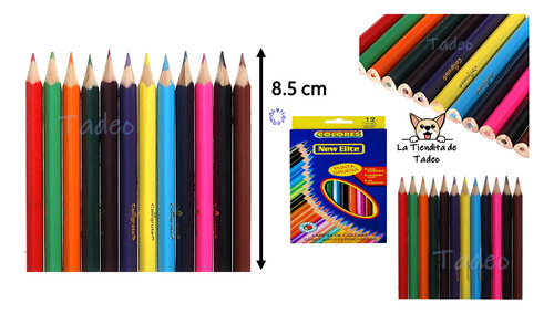 10 Libros Colorear Bluey + 10 Cajitas De Colores (12)