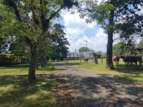 Terreno Campestre A La Venta En Frac. Manantial , Xalapa, Veracruz