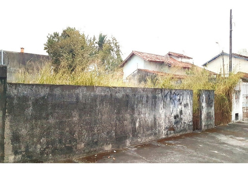 Imagem 3 de 4 de Terreno Murado E Aterrado, 308m², Pronto Para Construir, Indaiá, Caraguatatuba-sp. - Te00545 - 69931152