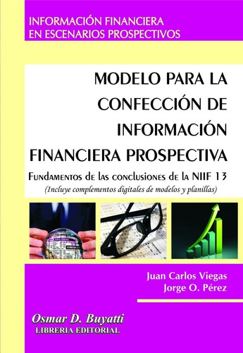 Libro Modelo Para La Confección De Información Financiera