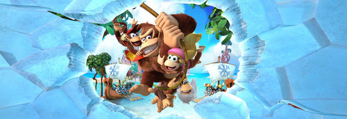 Donkey Kong Country Tropical Freeze Nintendo Wii U Físico (Usado)