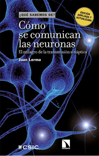 Cómo Se Comunican Las Neuronas    El Milagro De L...