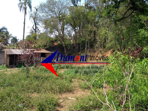 Imagem 11 de 14 de Terreno Limpos Com Árvores Frutíferas Cód 464