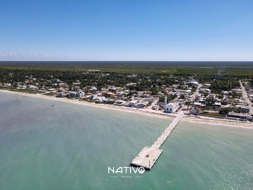 Imagen 21 de 30 de Terreno En Venta En Yucatan A 9 Min De La Playa Telchac Nati