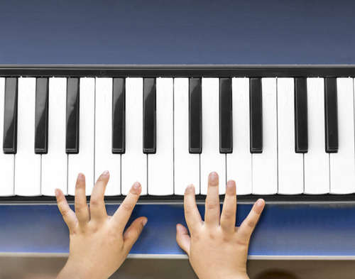 Melodica Escolar De 32 Teclas Estuche Y Accesorios Teclado ,melodica 32 Teclascolor Negro