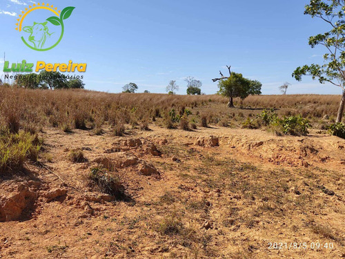 Imagem 12 de 15 de Fazenda À Venda No Vale Do Araguaia - To 532 Hec (dupla Aptidão) - 1912