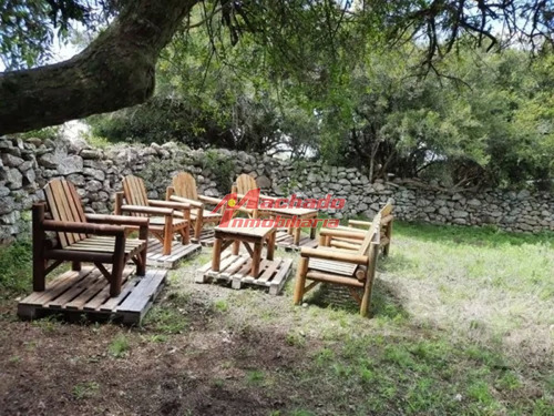 Imagen 10 de 15 de Venta De Chacra De 5 Hectareas En Paraje Las Cañas
