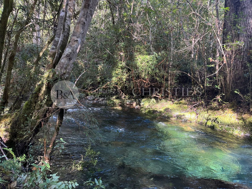 20966 - Campo Orilla Río Catarata - Sector Puelo