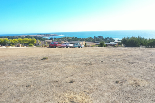 Vista Panorámica Al Mar En Punta De Lobos
