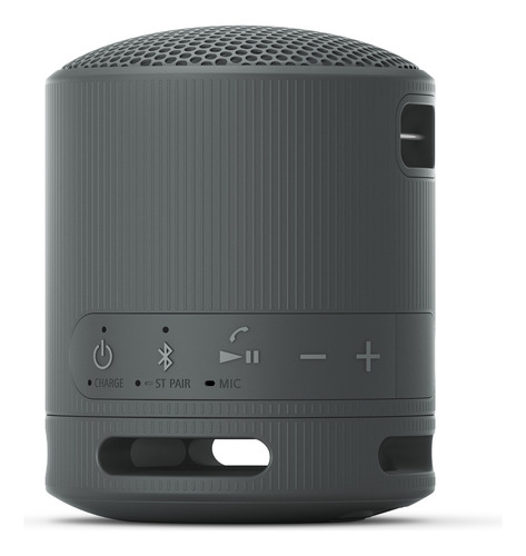 Parlante Inalámbrico Portátil Sony Xb100 Color Negro Negro