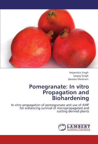 Pomegranate In Vitro Propagation And Biohardening In Vitro P