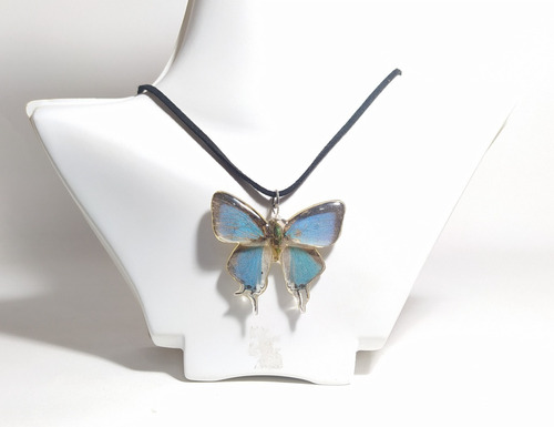 Collar De Mariposa Para Dama 