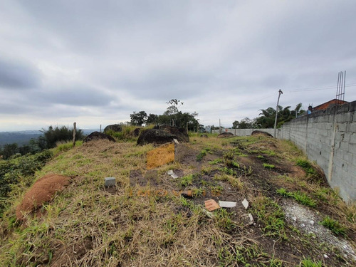 Imagem 5 de 9 de Terreno Para Venda Em Suzano, Parque Residencial Samambaia - 880_1-1656718