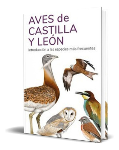 Libro Aves De Castilla Y Leon [ Original ], De Victor J. Hernandez. Editorial Tundra, Tapa Blanda En Español, 2023
