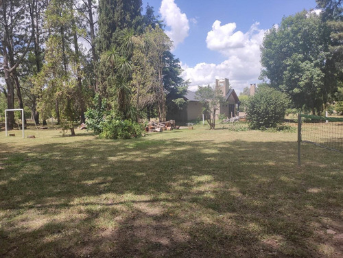 Imagen 22 de 30 de Hermosa Quinta Con Mucha Arboleda Añeja