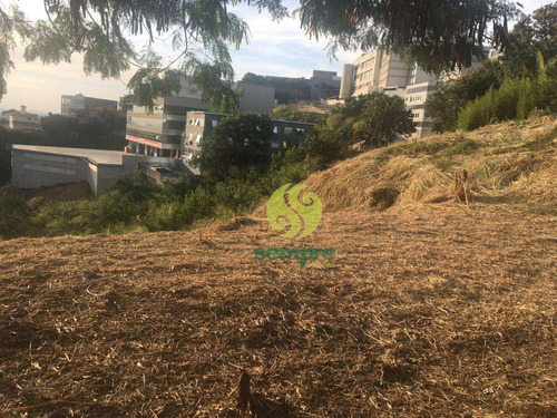 Imagem 5 de 15 de Terreno Para Alugar, 1200 M² Por R$ 2.000,00/mês - Estoril - Belo Horizonte/mg - Te0041