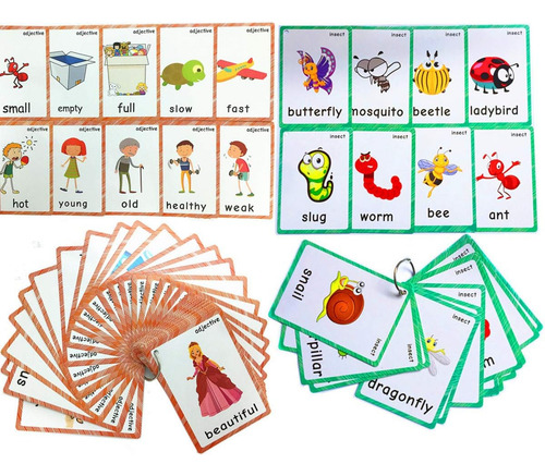 Juego De Tarjetas Flash De Adjetivos, Antónimos E Insectos P