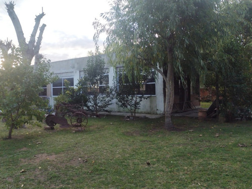 Imagen 9 de 17 de Venta Local Y Vivienda Tipo Parrilla De Campo De Campo Mar Del Tuyu