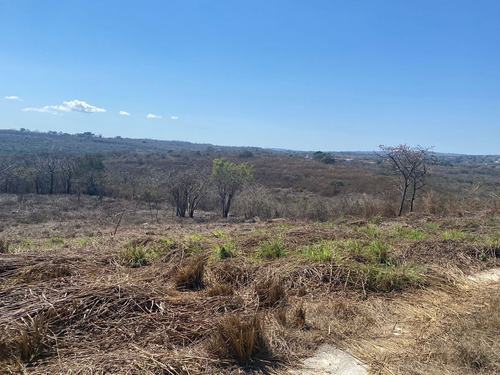 Se Venden 1000 M2 En Berriozabal