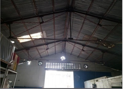 Imagen 5 de 9 de Se Vende Galpones En La Av Raul Leoni Ve02-266zn-jv