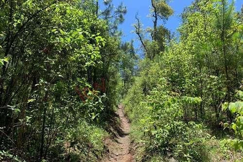 Imagen 5 de 22 de Venta De Terreno En Valle De Bravo Con Desarrollo De Rancho
