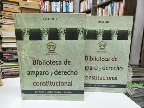 Libro Biblioteca De Amparo Y Derecho Constitucional. 