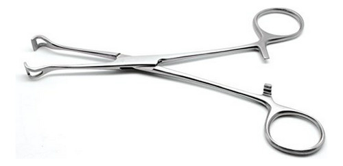 Pinzas Babcock 6.4 Acero Inoxidable Veterinario Cirugía Int