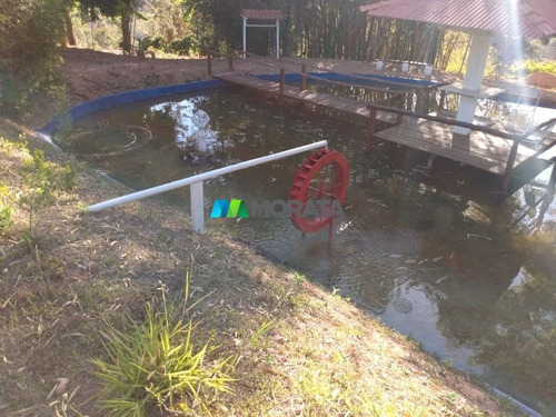 Imagem 9 de 15 de Fazenda - Zona Rural - Ref: 5201 - V-mta5201
