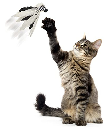 Smartykat Instincts Happynip Zingy Zebra Feathered Toss & Ch