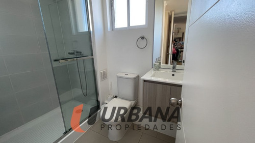 Pacifico 3100 Arriendo 2d2b Año Corrido Amoblado