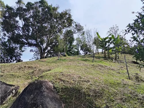 Lote En Venta, Los Cedros, Cocorná