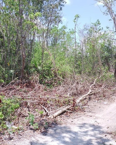 Lotes En Ventas De 220m2 Entrando A Long Island Cancun