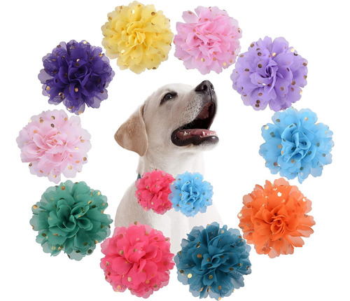 10 Piezas De Collar De Perro Con Flores Para Niñas Y Niños M