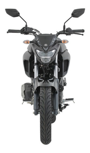 Imagen 3 de 8 de Fz 25 $ 1.590.000 - Rec. Inferior - Tuamoto