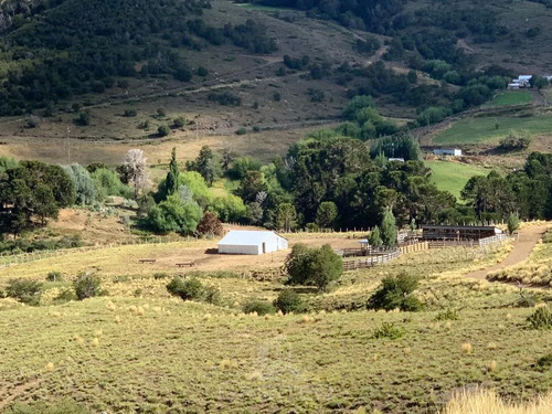 Cod37041 Precioso Campo Ganadero Y Turismo Lonquimay