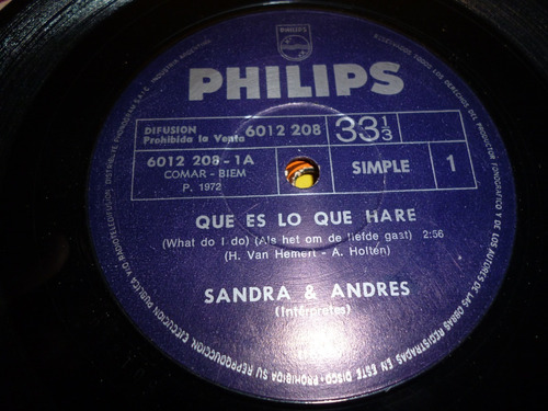 Lp Vinilo - Simple - Sandra & Andrés - Que Es Lo Que Hare
