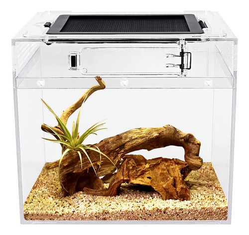 Reptile Growth Mini Terrario De Reptiles, Tanque De Reptiles