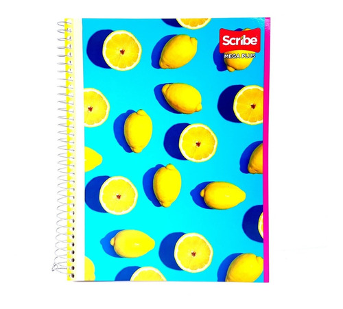 Cuaderno Profecional Scribe Rayas 5pz Con 4 Separd 200 Hsj