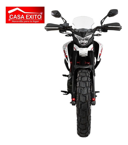 Imagen 6 de 6 de Moto Daytona Dy250 Tekken 250cc Año 2022 Color Ne/ Ro/bl 0km