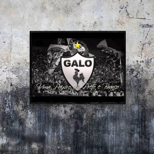 Quadro Decorativo Fotografia Torcida Do Galo 45x34cm