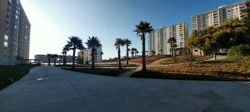 Se Arrienda Depto En Algarrobo (68337)